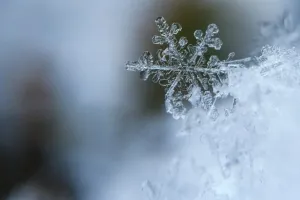 Погода